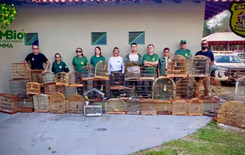 operacao-de-fiscalizacao-ferias.jpeg.800x0_q75_crop.webp.webp