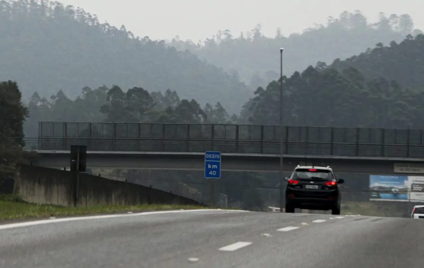 Tempo seco intensifica risco de queimadas no interior paulista